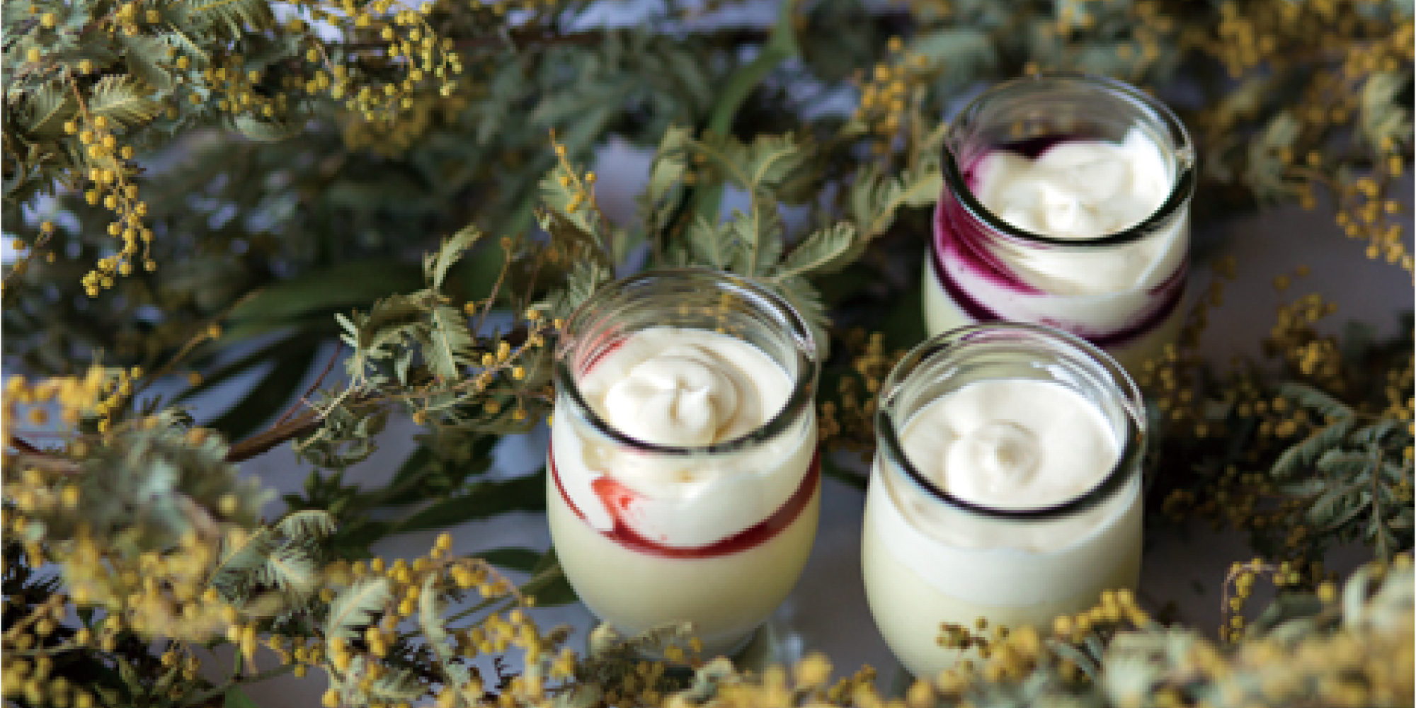 LASA pudding　イメージ画像