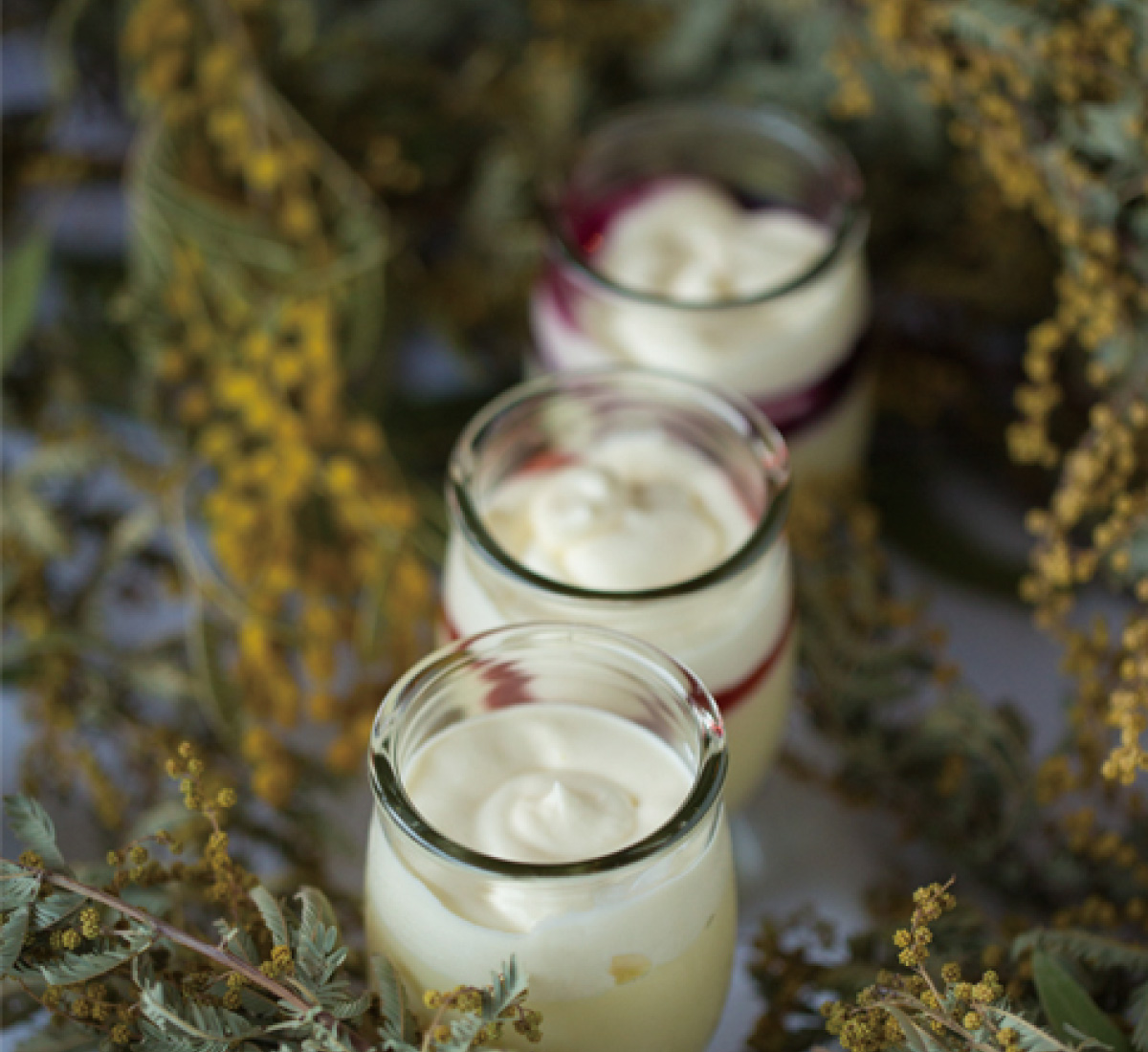 LASA pudding　イメージ画像